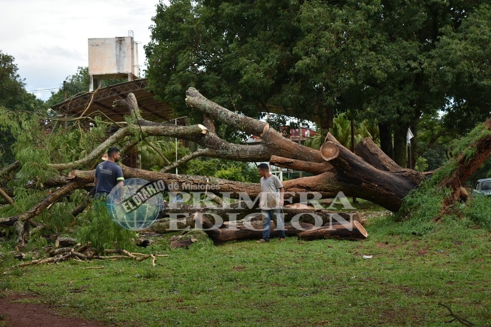 Qué dejó la tormenta tras su paso por Misiones