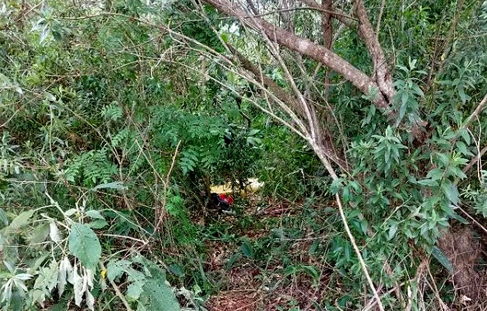 Atraparon a dos “mulas narco” en Garuhapé en un punto de acopio