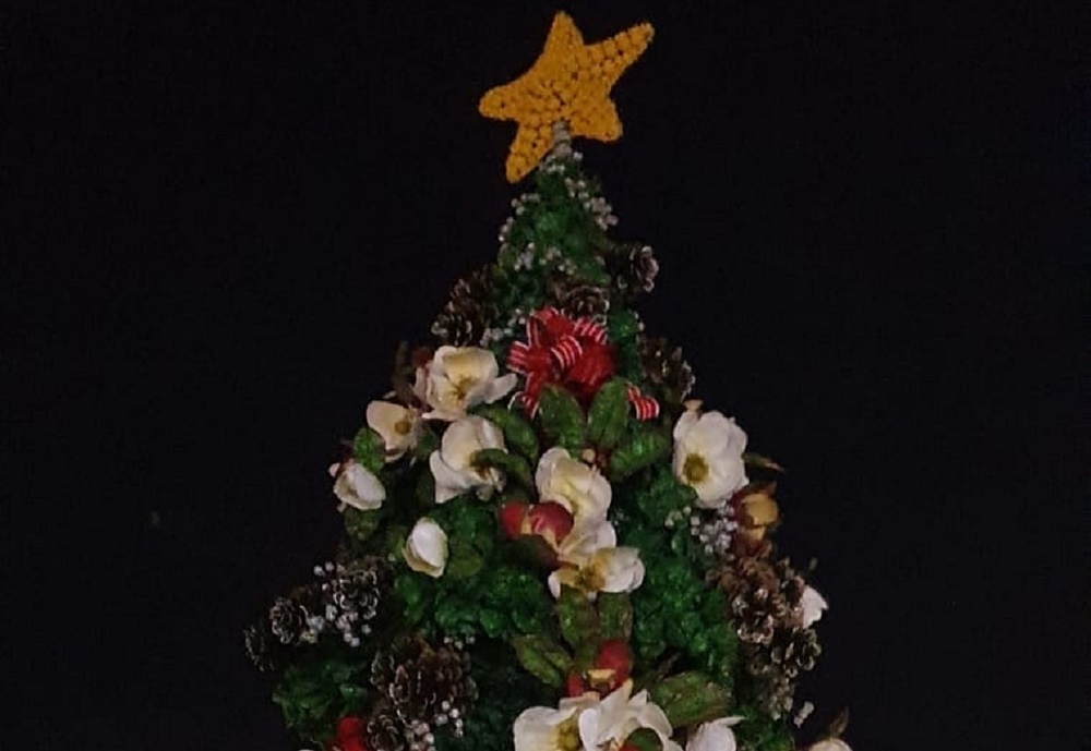 Todo listo para el encendido del Árbol de Navidad de Capioví