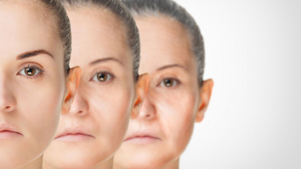 Nuevas terapias de rejuvenecimiento: tras el sueño de los alquimistas