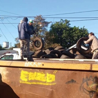 Vecinos de Posadas alertan la presencia de mosquitos