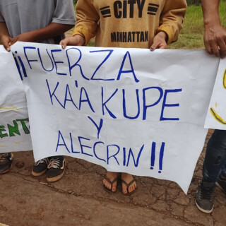 Protestas de la comunidad mbya - Extracción de árboles en San Pedro