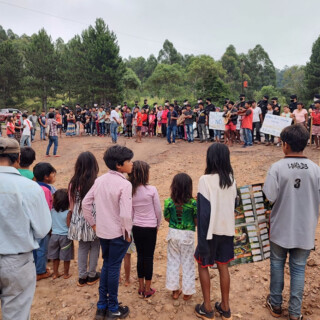 Protestas de la comunidad mbya - Extracción de árboles en San Pedro