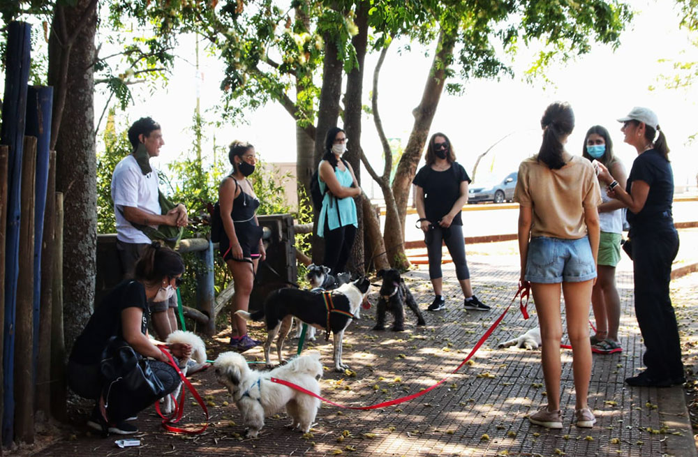 El buen ciudadano canino