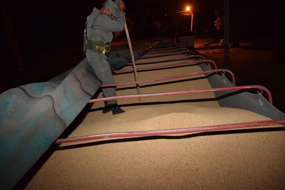 Gendarmería Nacional - Soja Ilegal