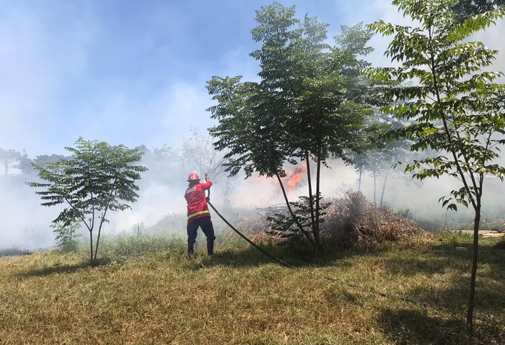 Incendios en Oberá y Mártires