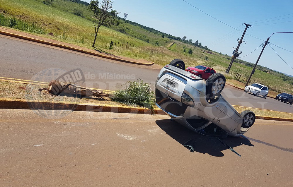 Se “comió” el lomo de burro, chocó una palmera y volcó