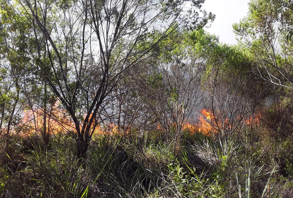 Incendio Campo San Juan - Santa Ana