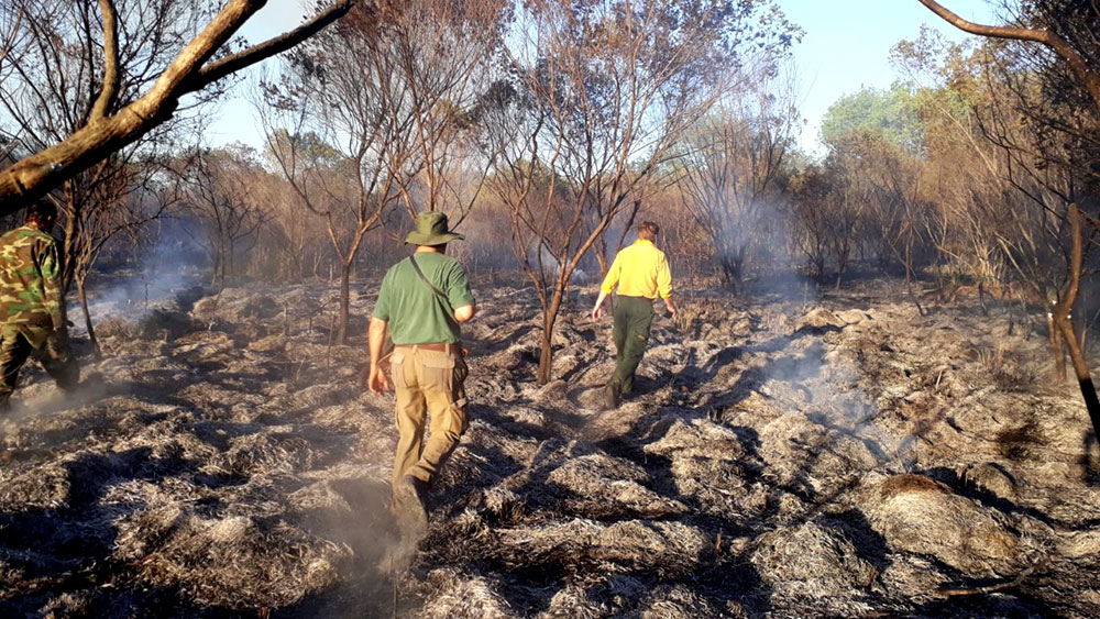 Campo San Juan: nuevamente un incendio consumió parte de la flora