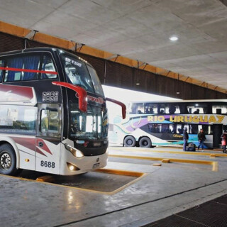 Coronavirus Covid Ómicron