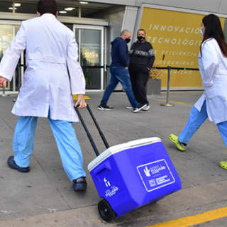 donaciones de órganos