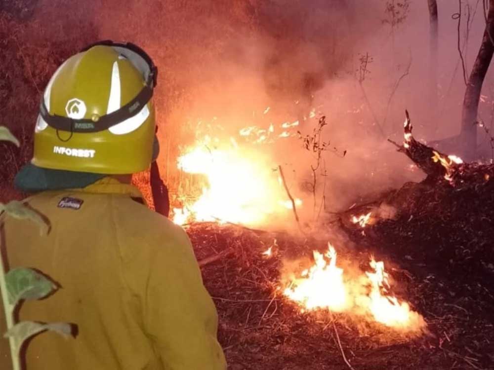 Continúa la incesante tarea de sofocar las llamas