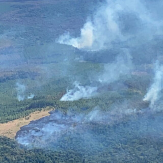 Incendios - Misiones