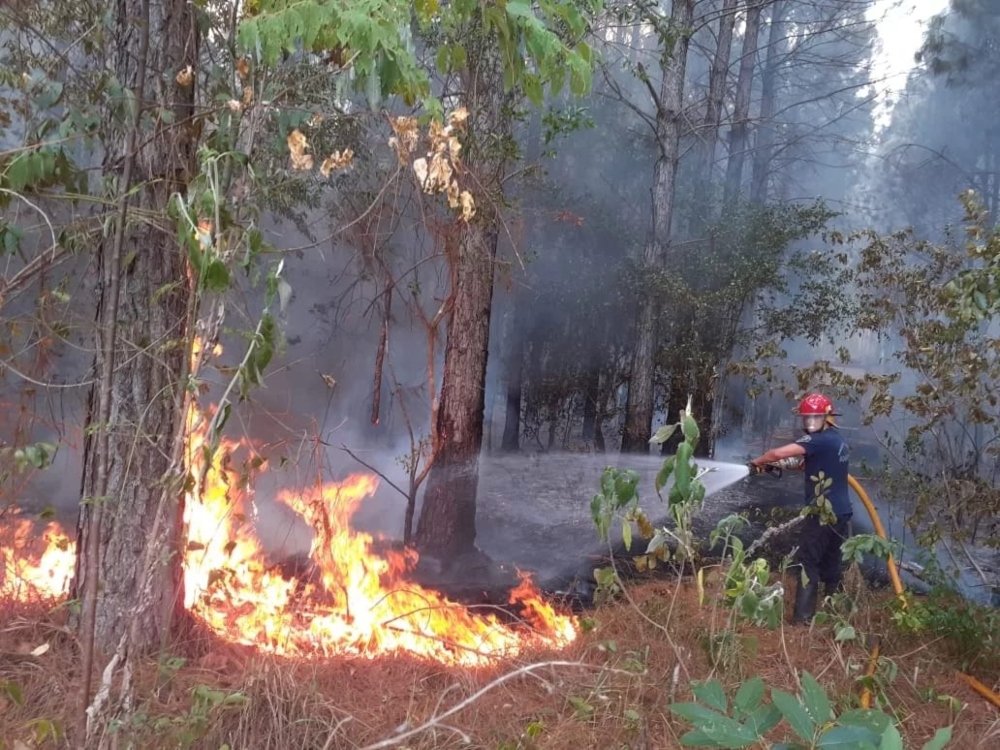 Siguen los esfuerzos por controlar los incendios en Misiones