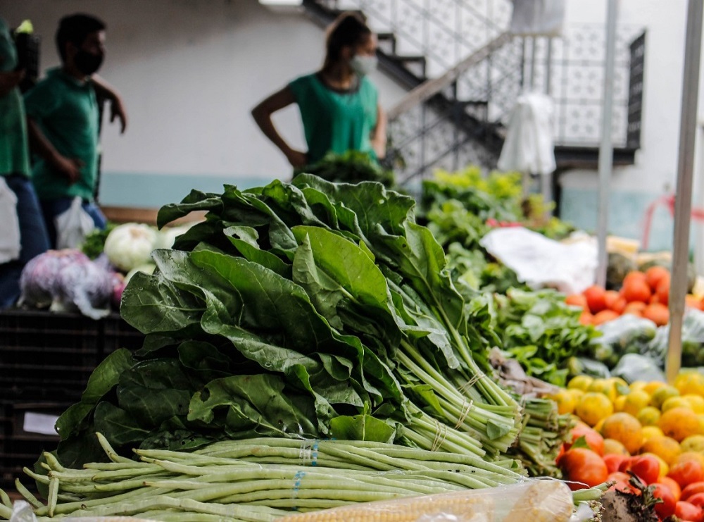 Posadas: la Feria Franca del Concejo se trasladó al Paseo Bosetti