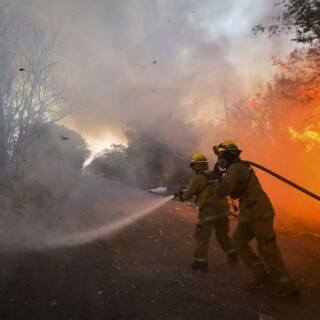 Incendios forestales