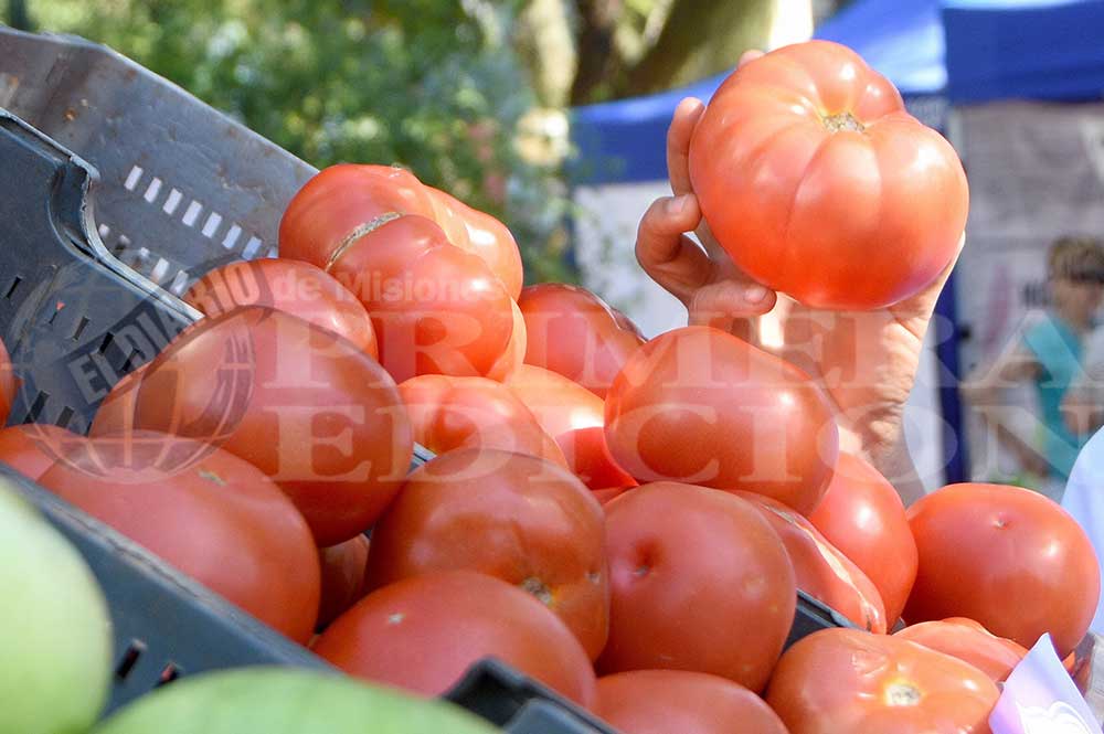 Hay faltante de tomates y el kilo ronda los $250 en las verdulerías