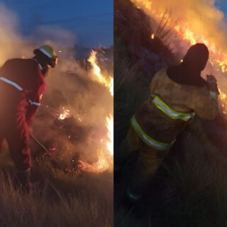 Incendios forestales: “Los Bomberos Voluntarios de Misiones están más equipados y preparados que el año pasado”