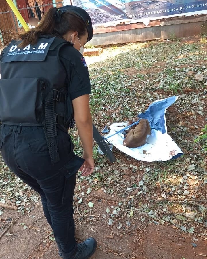 Policía adoptó a un perrito que había sido abandonado atado a un poste