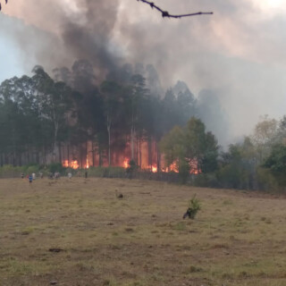 incendios bomberos misiones