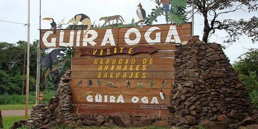 El refugio Güirá Ogá, al rescate de los animales heridos en incendios