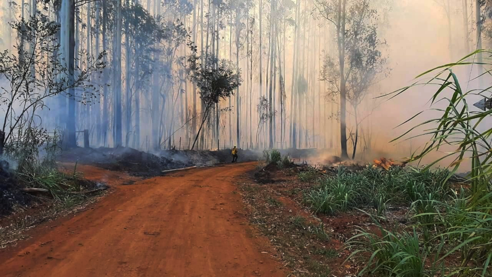 El fuego no da tregua: más de 700 hectáreas afectadas en paraje Oro Verde