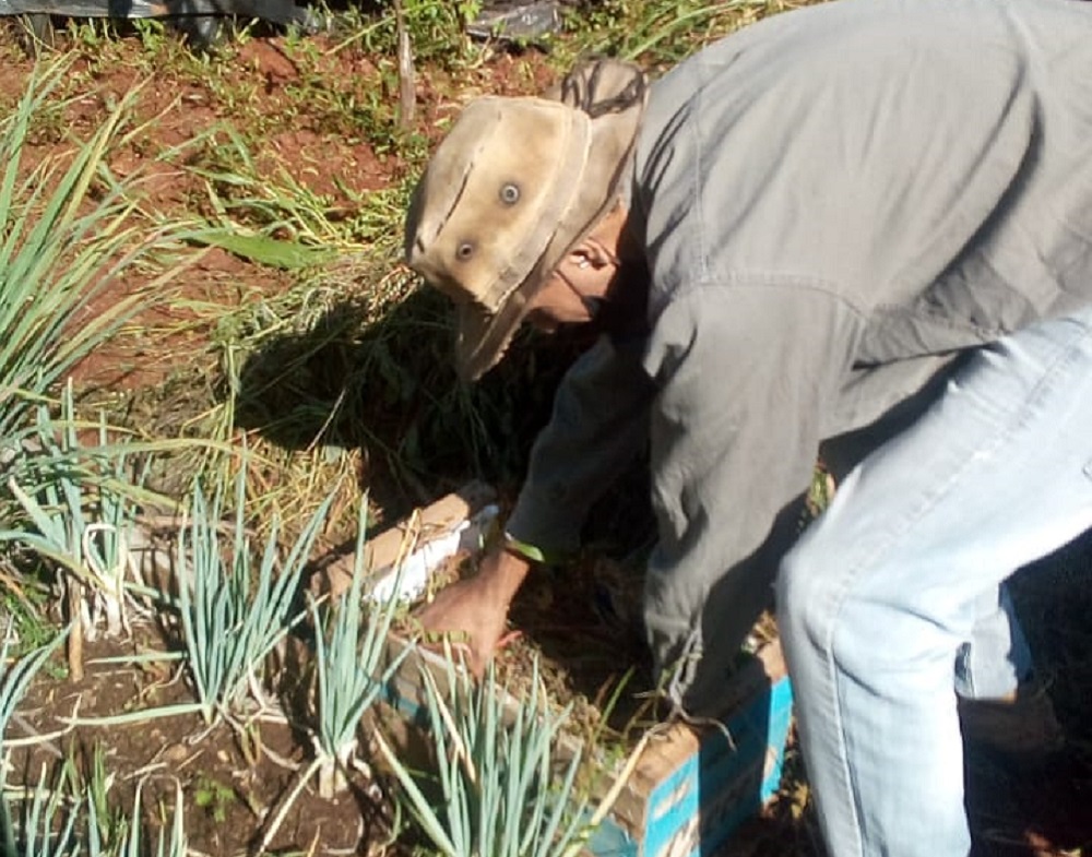 Incorporan tecnología social para el riego de cultivos con agua doméstica reutilizada