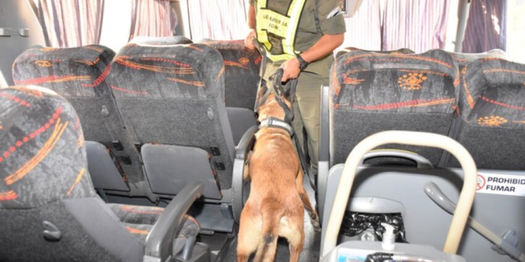 marihuana en ómnibus