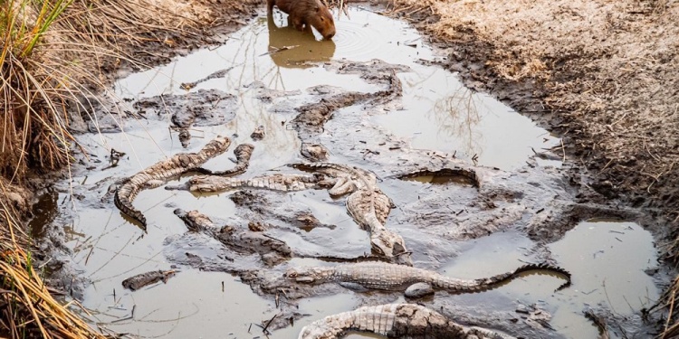 Foto: gentileza Emilio White