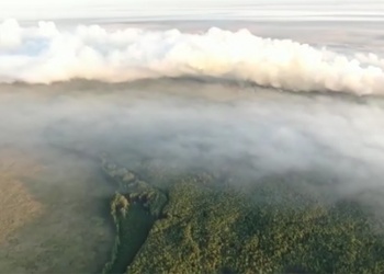 Incendio Iberá Maurice Closs