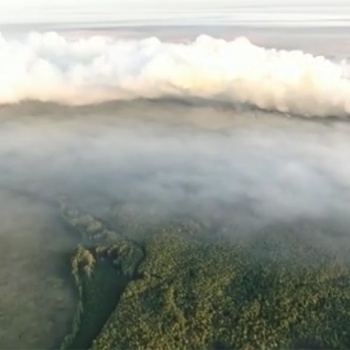 Incendio Iberá Maurice Closs
