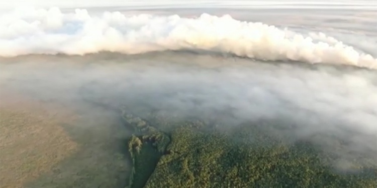 Incendio Iberá Maurice Closs