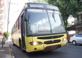 Colectivo Encarnación Paraguay