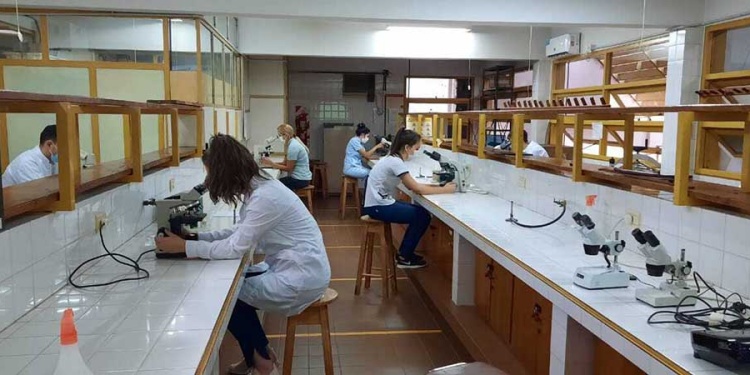 SUMAR. Los estudiantes se integrarán a diversos proyectos de investigación.