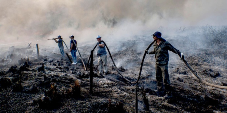 DESOLADOR. En la provincia estiman que el fuego arrasó con al menos 800 mil hectáreas y cientos de casas.