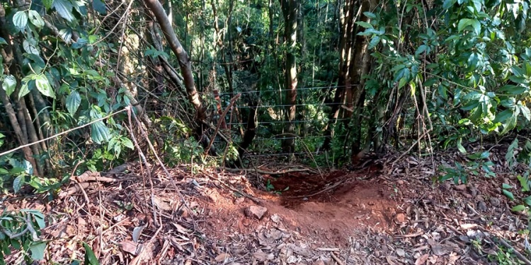 SIN RASTROS DEL ARMA. Los efectivos rastrillaron la escena en busca de casquillos de bala y otras evidencias.