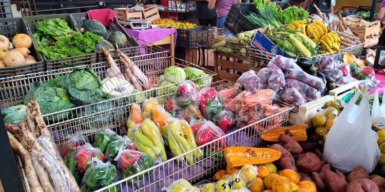 NORMALIZANDO. El Mercado Concentrador retoma sus actividades de martes a sábado desde esta semana.