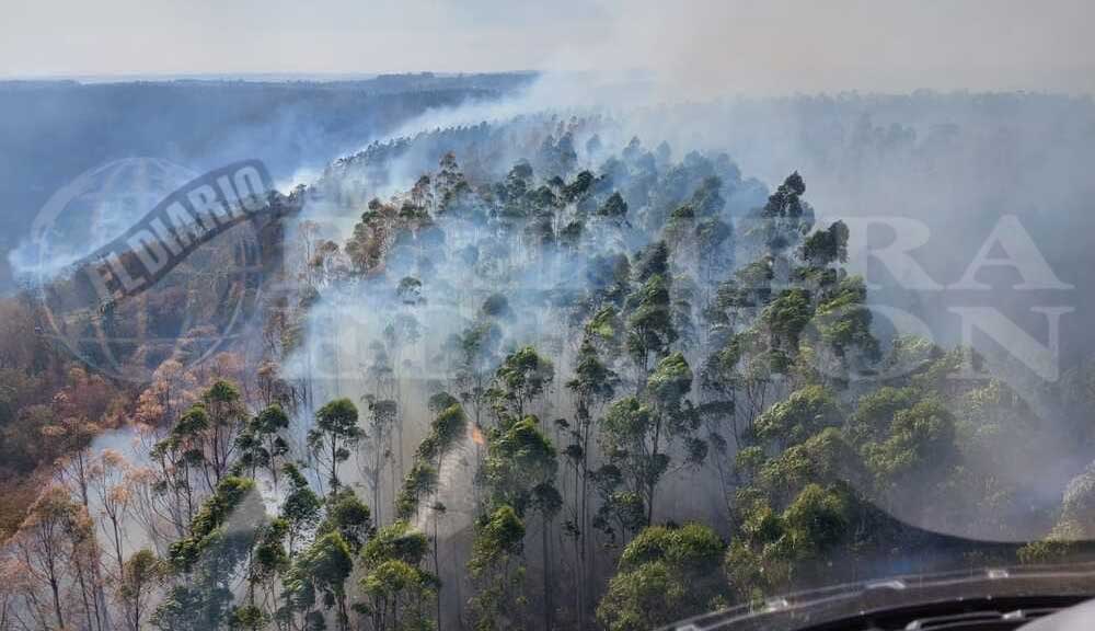 En cuatro meses, casi 20 mil hectáreas de Misiones fueron afectadas por los incendios