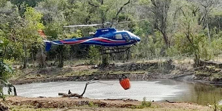DESTACABLE. “El trabajo que hacen todos es impresionante”, dijo Cristian Koch.