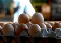 “El precio de los huevos dependerá del dólar”