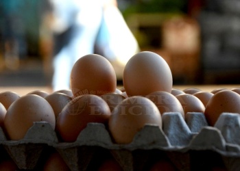 “El precio de los huevos dependerá del dólar”