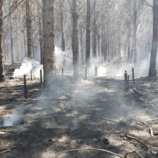 Corrientes declaró la emergencia ígnea