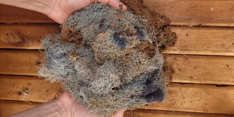 Foto: Gentileza Erica vega