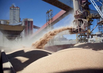 La agroindustria ya representa un cuarto de la riqueza de Argentina