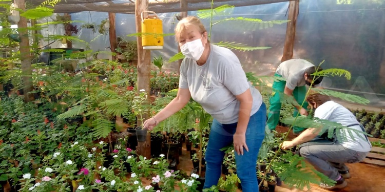 PRODUCCIÓN. En el Vivero Municipal se hacen plantines de árboles nativos y flores, para entregas y plazas.