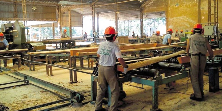 SIN PREVISIBILIDAD. El sector de la forestoindustria cuestionó al Gobierno nacional por el fuerte ajuste de los carburantes para Misiones.