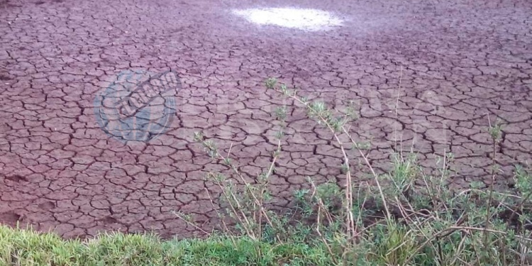 VERTIENTES Y ARROYOS. El productor alertó que el agua es la principal problemática en Misiones en este momento.