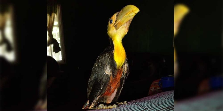 DESAMPARADO. Tenía pocos días cuando lo hallaron en el potrero.