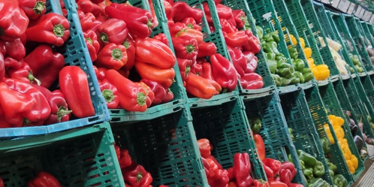 IMPOSIBLE. Las verduras lideraron la inflación de febrero con un alza de 14,8% y las frutas tuvieron una suba del 5%, según las consultoras.