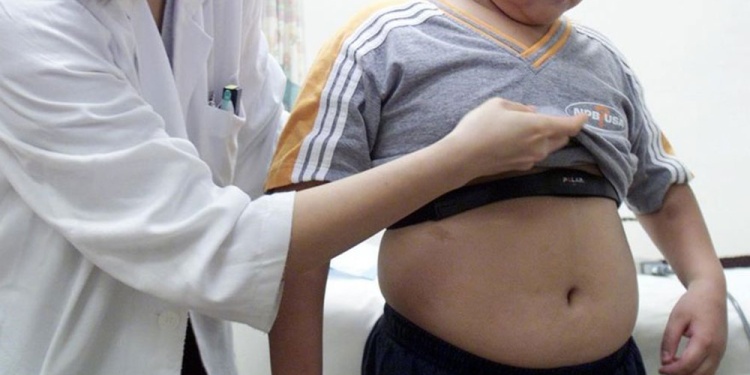 MULTICAUSAL. Recalcan que en la obesidad es una enfermedad con múltiples causas.